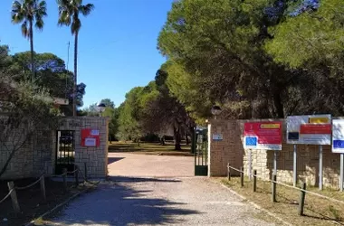 Centro de Fauna de El Saler Supera 9,000 Atenciones en 2025 y Advierte Sobre el Impacto Climático