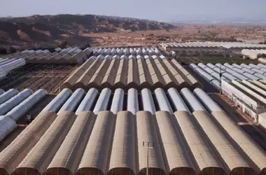 El Proyecto NutriLoop Demuestra la Viabilidad del Agua Regenerada para el Riego Agrícola Frente a la Escasez Hídrica
