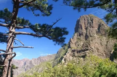 Las Islas Canarias Reinician Ley de Biodiversidad con Urgencia para Protección Integral de sus Recursos Naturales