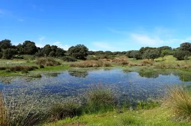 La Desaparición Acelerada de Lagunas Temporales en la España Peninsular: Un Llamado Urgente a la Conservación
