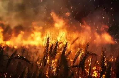 Aumentan drásticamente los incendios forestales en Asturias en 2026: Una preocupación creciente