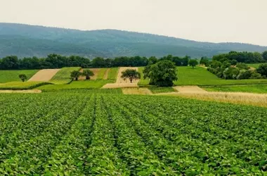 El Congreso de Biodiversidad Agrícola Impulsa una Nueva Era de Sostenibilidad en España
