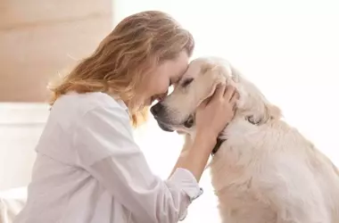 El Impacto Psicológico de Despedirse de las Mascotas: Empatía y Bienestar