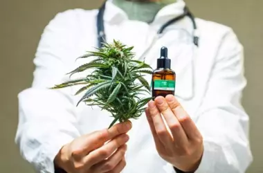 Día Internacional del Cannabis 2026: Una Visión Integral sobre sus Implicaciones