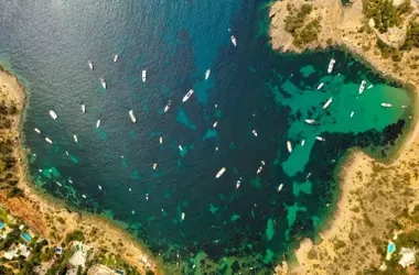 SOS Costa Brava Lanza Alerta Crítica por el Colapso de la Posidonia en la Costa Gerundense