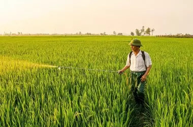 Revolución Agrícola: Fertilizantes de Nanotecnología para una Cosecha Sostenible