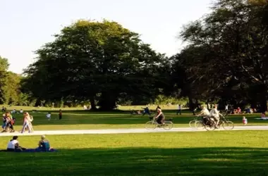 El Biomatón Internacional de Primavera: Conectando Ciudades con la Biodiversidad Urbana