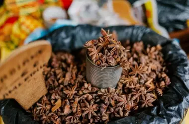 Nuevas Variedades de Anís Prometen Revolucionar la Agricultura Española: Más Productividad y Calidad de Aceite Esencial
