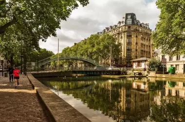 La Importancia Fundamental del Arbolado Urbano en la Salud de las Ciudades Españolas: Expertos Alerta sobre el Déficit de Zonas Verdes