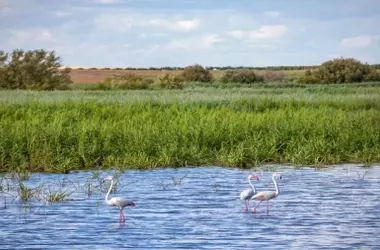 Castilla-La Mancha Impulsa la Conservación de Humedales con una Inversión Millonaria para Reforzar la Biodiversidad y la Adaptación Climática