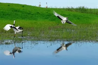 El Plan Especial del Alto Guadiana: Un Modelo Hídrico de Sostenibilidad