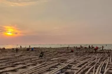Innovadora Autopista Marítima en Indonesia: El Bambú Como Solución Ingenieril Contra Inundaciones