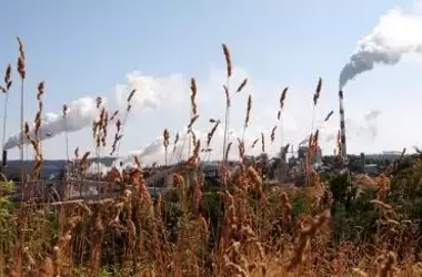 Invertir en la restauración y conservación de la naturaleza es crucial para la economía, según expertos