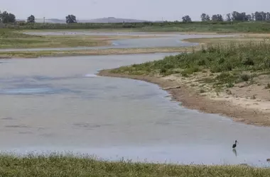 Recurso de WWF contra la delimitación en Doñana es admitido a trámite