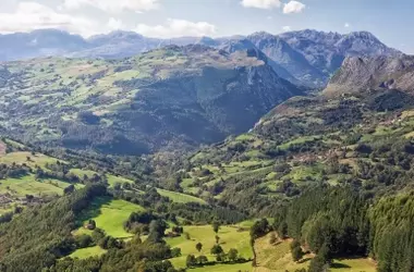 Una nueva era para la gestión forestal en Bizkaia: ¿hacia un futuro sostenible o un conflicto persistente?