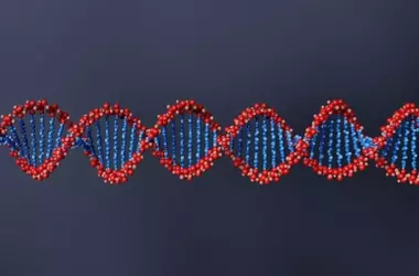 Día Internacional del ADN: el Descubrimiento que Transformó la Ciencia y la Existencia Humana