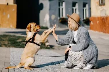 La ciencia revela cómo el juego fortalece el lazo emocional con tu perro