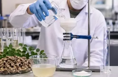 Un Árbol Común Ofrece una Solución Innovadora para la Eliminación de Microplásticos en el Agua