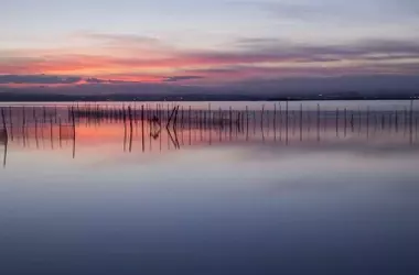 La Resurrección de L'Albufera: Un Humedal Vital Renace Tras la Tormenta DANA