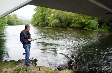 La Preocupante Disminución del Salmón en la Cornisa Cantábrica: Una Alerta Ambiental