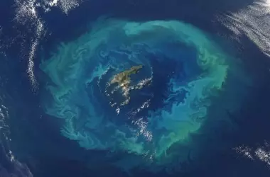 Un Anillo Luminoso en el Océano: Belleza Satelital y Peligro Submarino en las Islas Chatham