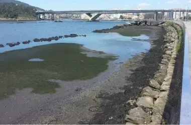 Retraso en el dragado del río Lérez: Demandas ambientales del Gobierno prolongan el proyecto