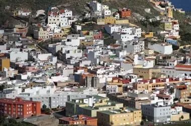 Rally Islas Canarias: Amenaza Crítica para el Pinzón Azul en Peligro de Extinción