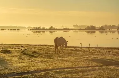 La minería amenaza continuamente a Doñana: 28 años de impactos acumulativos tras el derrame de Aznalcóllar