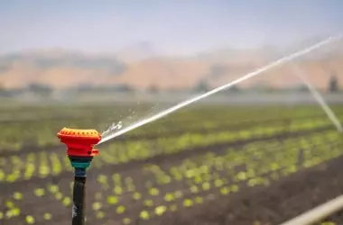 Transformando el agua residual en fertilizantes sostenibles: Un avance en Murcia hacia la economía circular
