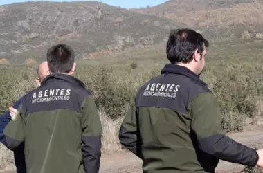 Agentes Ambientales Potencian la Investigación de Incendios Forestales en España ante Desafíos Climáticos
