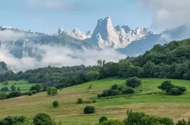 Aragón Siembra Futuro: Plan de Reforestación 2024-2027 Proyecta Dos Millones de Árboles