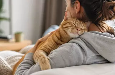 El Vínculo Felino con los Humanos: Más Allá de la Comida, un Refugio de Seguridad