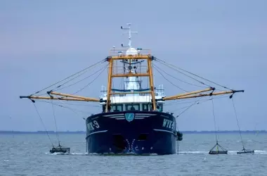Oceana: La Aplicación Estricta de Normas Pesqueras de la UE Clave para la Sostenibilidad