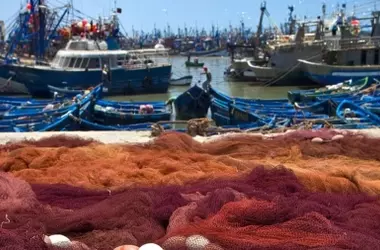 Evaluación de la Política Pesquera Común de la UE: Avances en Sostenibilidad con Desafíos en su Implementación