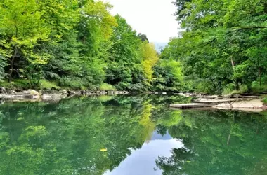 Voluntariado Ambiental en Cantabria: Salvaguardando la Salud de los Ríos