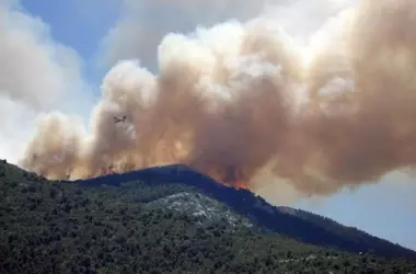 Castilla y León Bajo Escudo: Denuncias por Ocultación de Informes Post-Incendios y Peligro Ecológico