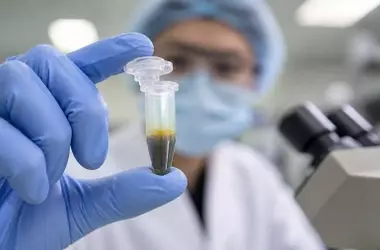 Microplásticos Detectados en Bilis Humana: Un Nuevo Enfoque en la Contaminación Interna y su Vínculo con Daño Celular