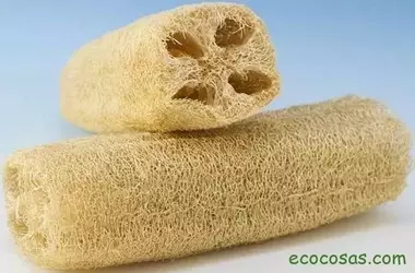 Luffa: La Planta Versátil para Esponjas y Estropajos Naturales