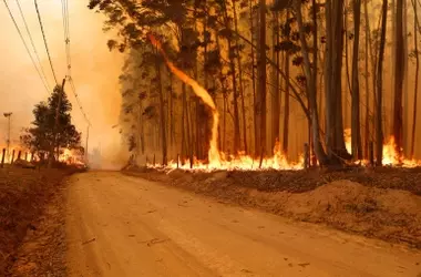 La Robótica Revoluciona la Lucha Contra Incendios Forestales en Áreas de Alto Riesgo