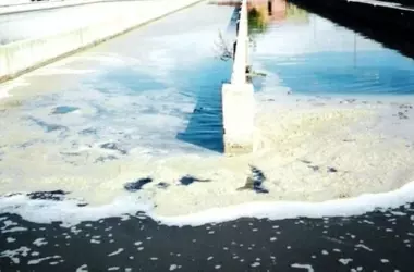 Badajoz: Estación Depuradora Pionera Transforma Aguas Residuales en Biofertilizantes y Bioenergía