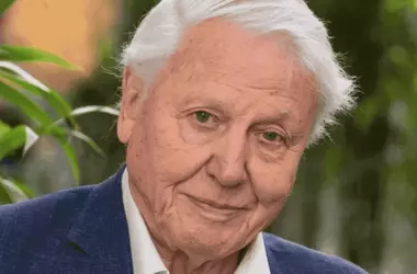 Cien Años de Legado: La Inquebrantable Voz de David Attenborough en la Divulgación Ambiental