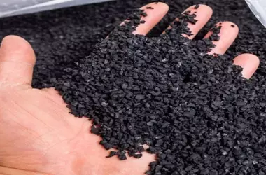 La URV impulsa el desarrollo de caucho vegetal sostenible para una industria sin combustibles fósiles