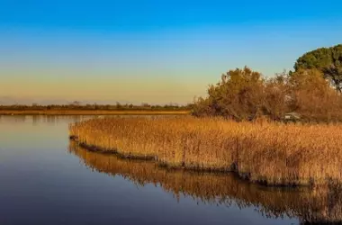 Cátedra Doñana: Impulso a la Sostenibilidad y la Innovación Verde en el Entorno del Parque