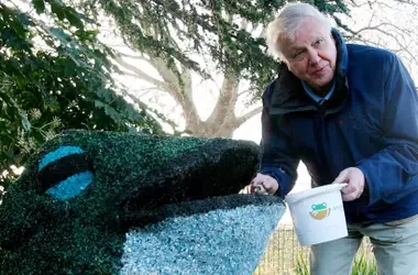 David Attenborough: Un Siglo de Dedicación a la Naturaleza