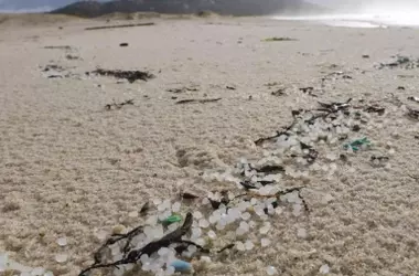 La Invasión Silenciosa: Microplásticos Amenazan las Playas del País Vasco y Aquitania