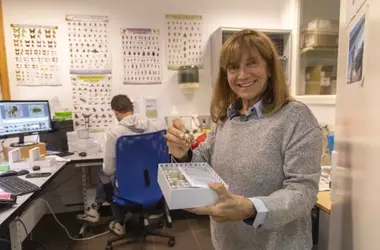 Anna Traveset: La disminución de polinizadores pone en riesgo alimentos clave y la biodiversidad insular