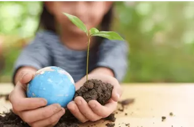 Impulso a la educación ambiental: Fundación Biodiversidad promueve escuelas más sostenibles