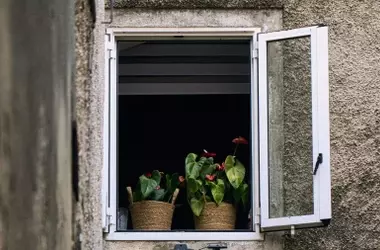 El auge de la jardinería urbana en Europa: España y Francia a la cabeza de los espacios verdes