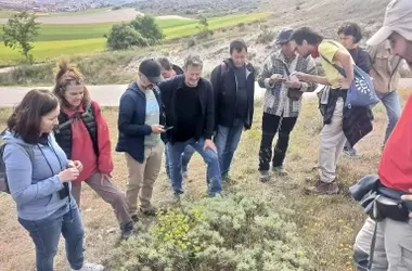Biomaratón de Flora Española 2026: Reservas de la Biosfera de León Impulsan el Descubrimiento de la Biodiversidad Vegetal
