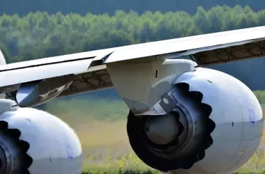 Polémica por un Aeródromo Privado en Cabañeros: Conservación vs. Turismo Cinegético de Lujo